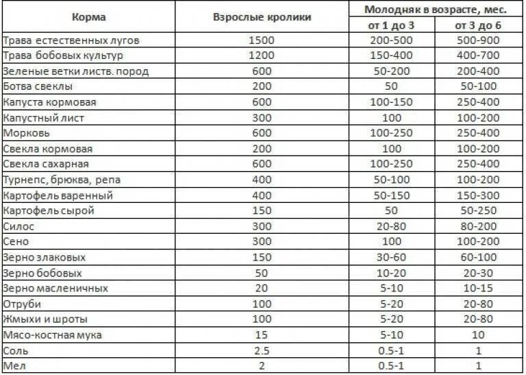 Можно давать кроликам свеклу. Кормовая свекла для кроликов. Можно ли кроликам давать картошку. Можно ли давать кроликам сырую картошку. Можно давать кроликам картошку.