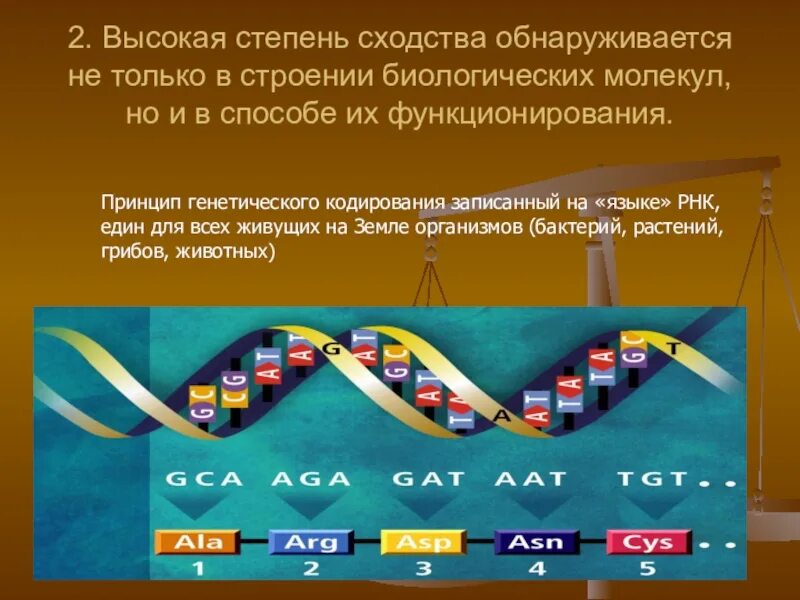 Кодирование и реализация генетической информации. Принцип генетического кодирования. принцип кодирования генетической информации. способы кодирования наследственной информации. кодирование генокода принцип.