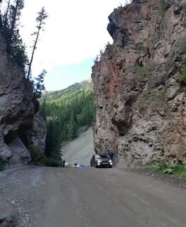9 алтай