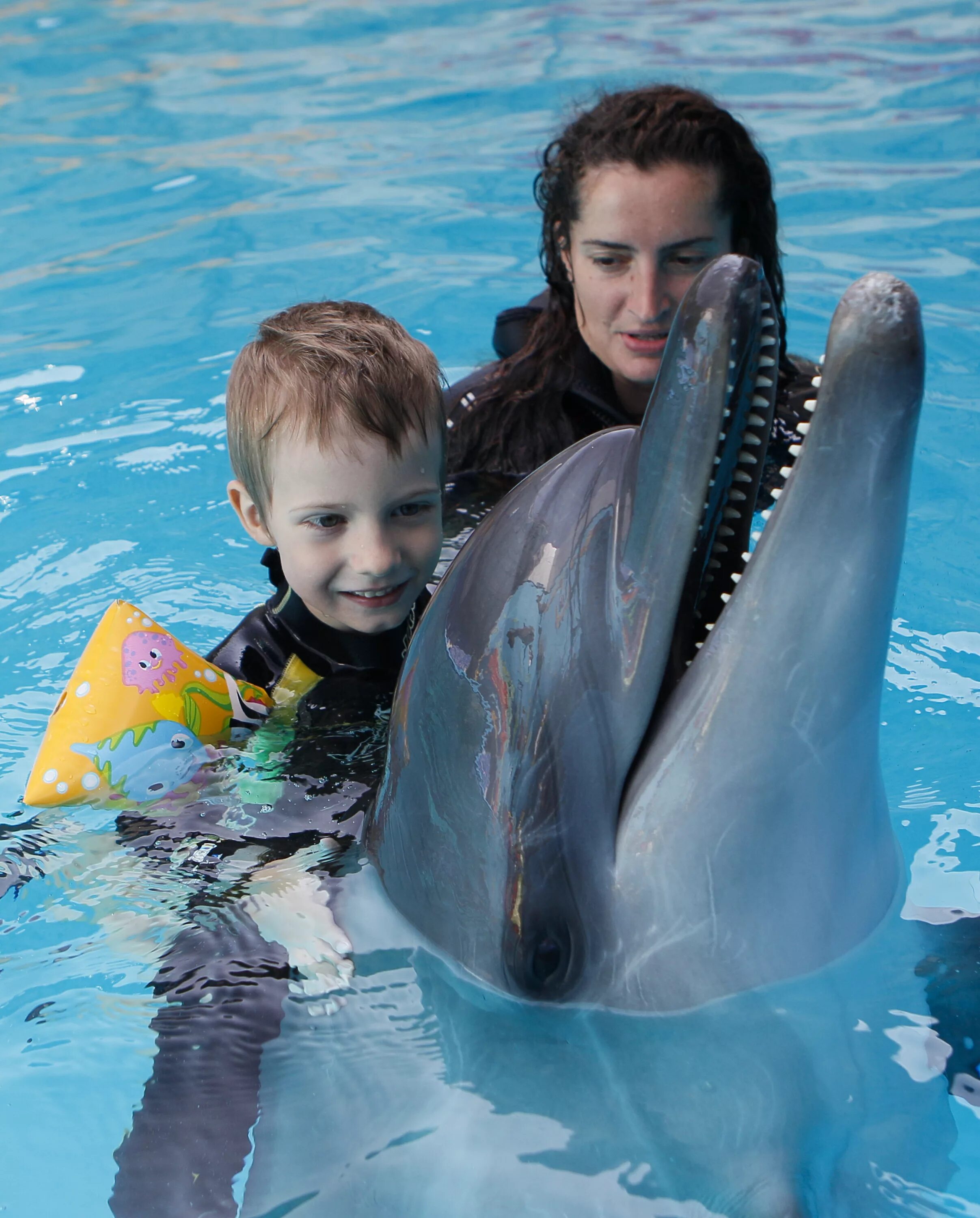 Дельфины в море. Дельфинотерапия для детей с овз. Дельфина катала. Дельфинотерапия с синдромом дауна. Дельфинотерапия для детей с овз.