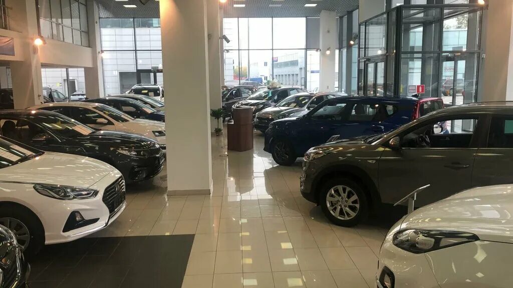 Kia ирбис. киа ирбис. Irbis motors логотип. автосалон монте карло краснобогатырская. автосалон ирбис на краснобогатырской.