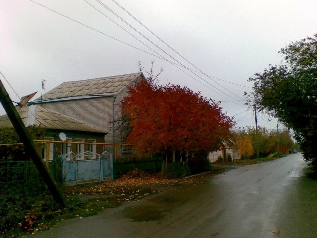 погода цимлянск на 14 ростовская