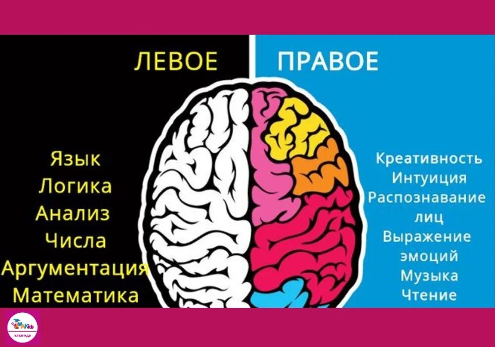За что отвечает левое и правое полушарие головного мозга. За что отвечают левое и правое полушария мозга человека. За что отвечает левое полушарие головного мозга. Право ЕИ левое полушаерие.