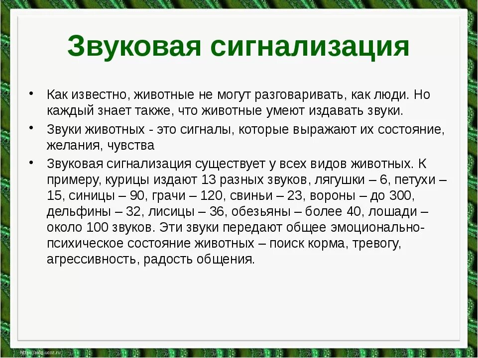 Язык общения животных. Как животные общаются между собой. способы общения животных между собой. как общаются между собой животные сообщение. примеры общения животных между собой.
