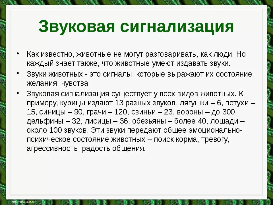 Особенность их способ млекопитающие общаются. Как животные общаются между собой. Способы общения животных между собой. Как общаются между собой животные сообщение. Примеры общения животных между собой.