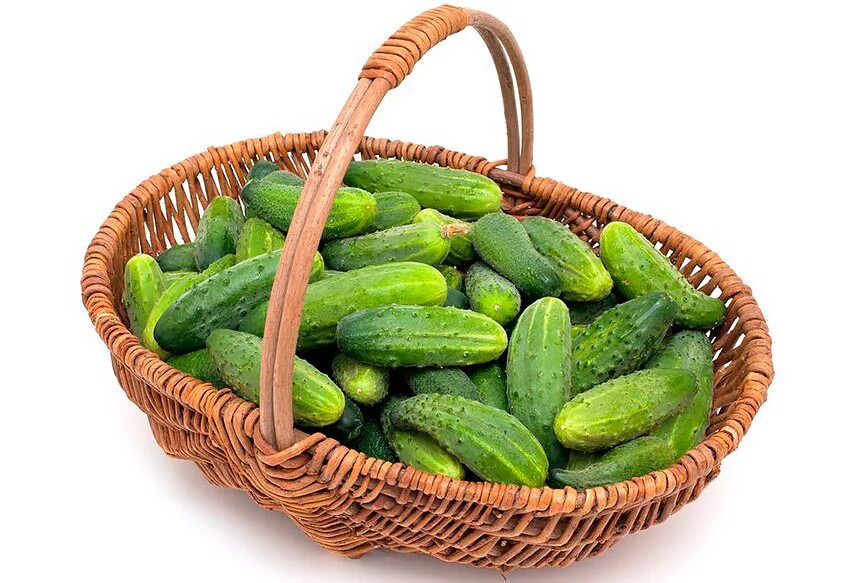 Огурчики детские