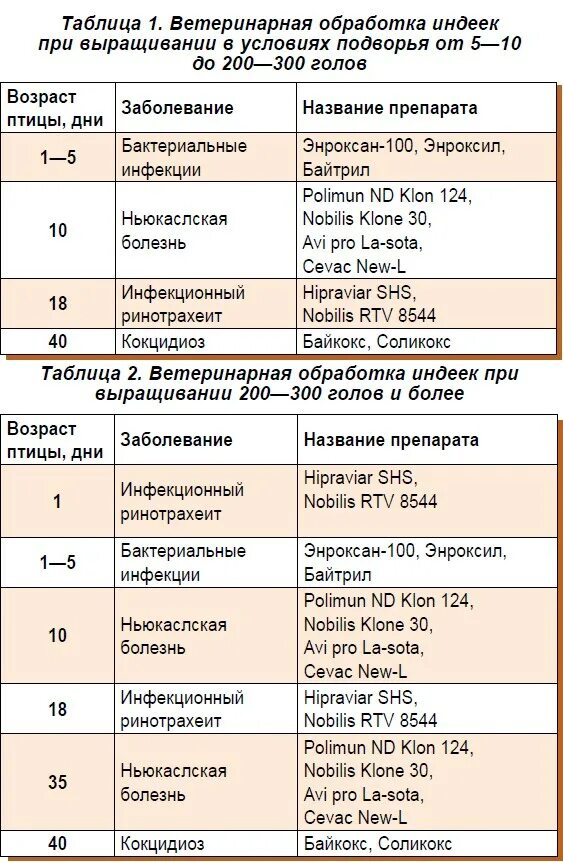 Антибиотик пои. Вакцинация бройлеров схема. Вакцинация индюков схема. Схема пропаивания бройлеров лекарствами. Схема выпойки бройлеров антибиотиками и витаминами.