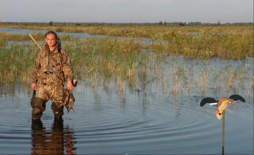 Когда открывается на утку. Когда открывается на утку. Когда открывается на утку. Весенняя охота на утку с подсадной на речке. Весенняя охота.