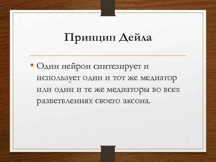 Основное положение принципа дейла. Принцип дейла. принцип дейла физиология. определение понятия принцип дейла. охарактеризуйте принцип дейла.