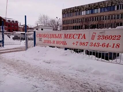 Свободина 4