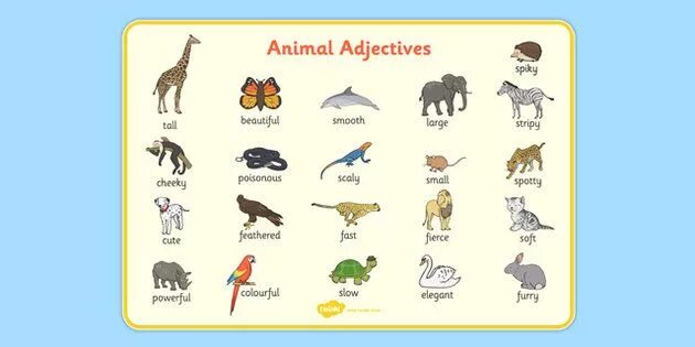 Compare animals. Animal adjectives. Degrees of Comparison животные. Describing animals прилагательные. Adjectives for animals.