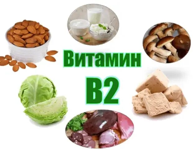 Витамин b2 продукты таблица. Витамин б2 продукты содержащие витамин. Витамин в2 в каких продуктах. Витамины группы б2 продукты. Продукты с витамином в 2