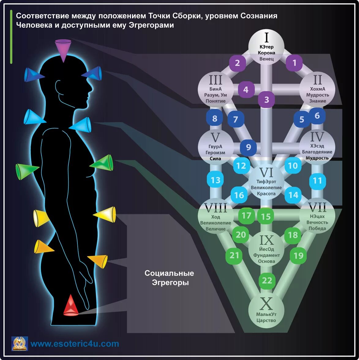 Эгрегоры в магии. Дерево Сефирот и чакры. Древо Сефирот и человек. Дерево Сефирот касты. Древо Сефирот Каббала чакры.