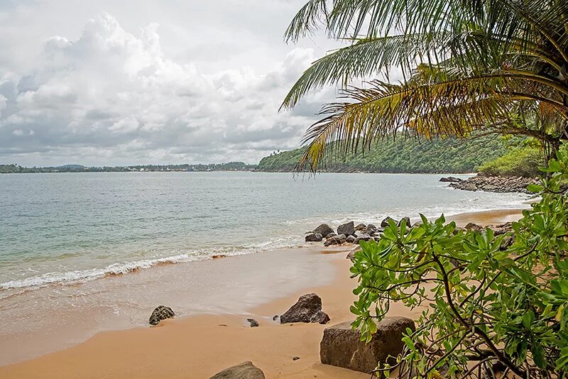 Погода на шри ланке в июне. Шри Ланка климат. Пляж Jungle Beach (Шри-Ланка, Унаватуна). Пляж Джангл Бич Шри Ланка.