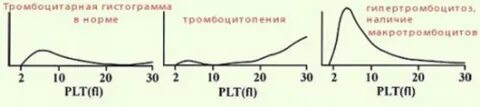 Как называют отклонение от нормы показателя роста