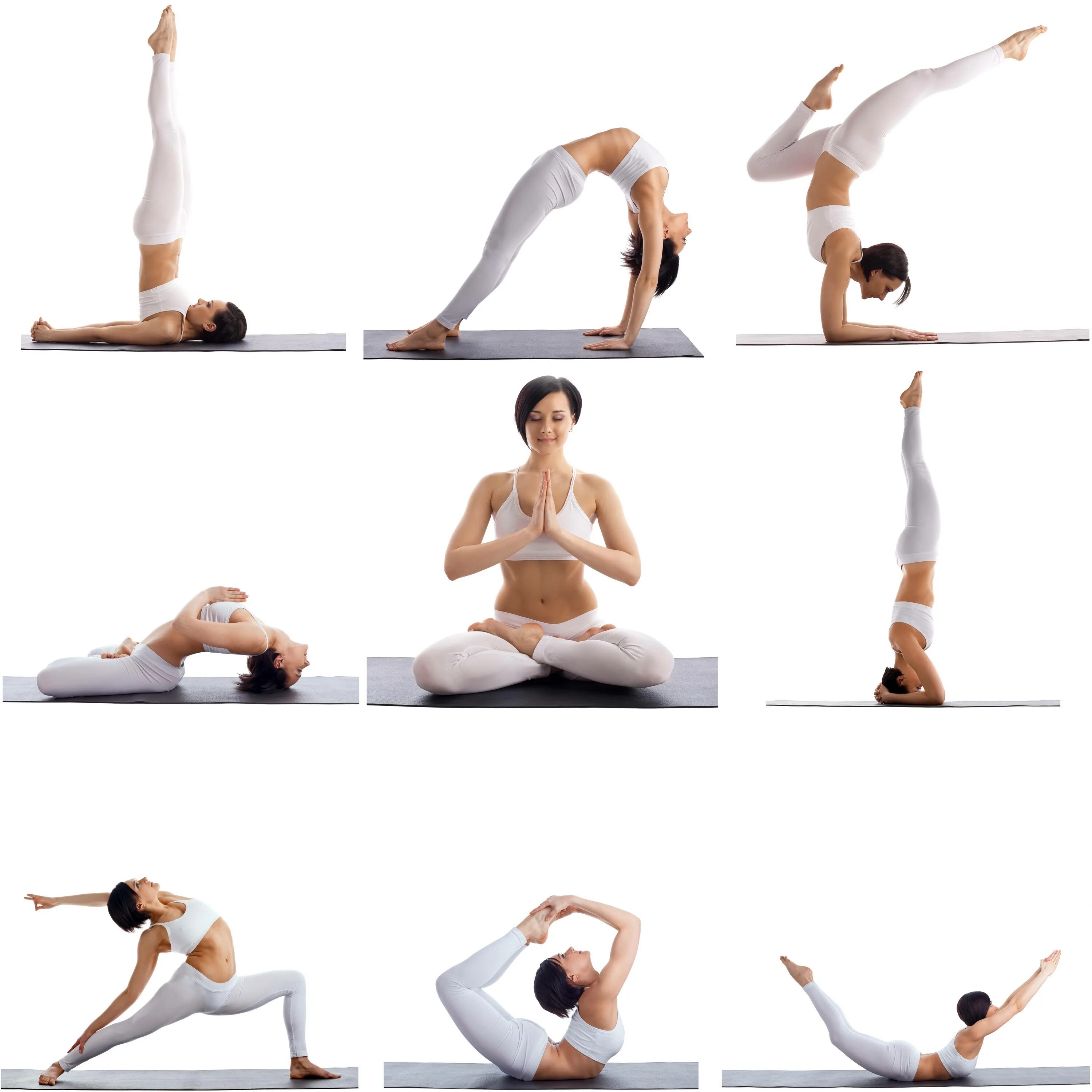 Каталог асан. Основные асаны хатха йоги для начинающих. Хатха-йога комплекс асан. Хатха йога упражнения для начинающих. Комплекс асан хатха йоги.