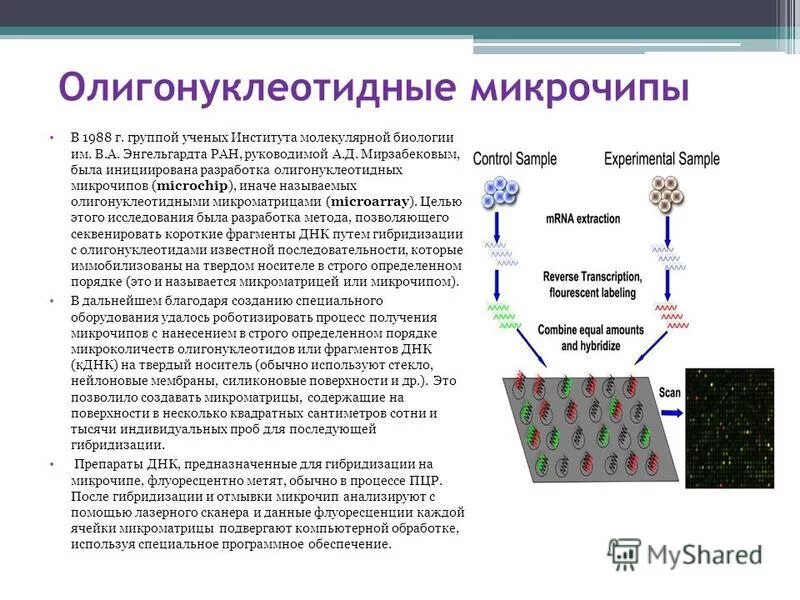 Метод амплификации нуклеиновых кислот это пцр. Процесс репликации дезоксирибонуклеиновой кислоты. Как называется совокупность методов воздействия на днк. Методы анализа днк днк диагностика наследственных заболеваний. Общая схема амплификации днк при пцр.