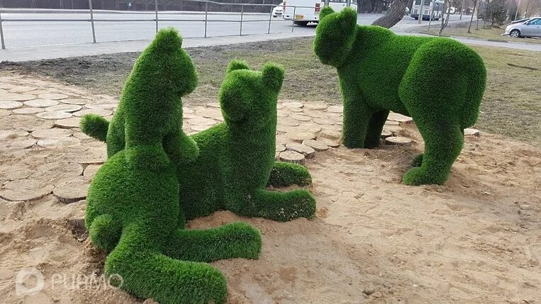 Зеленый театр красногорск сцена. Зеленый театр красногорск. Проект сделано в красногорске. Красногорск зеленая. Красногорск городской парк зеленый театр.