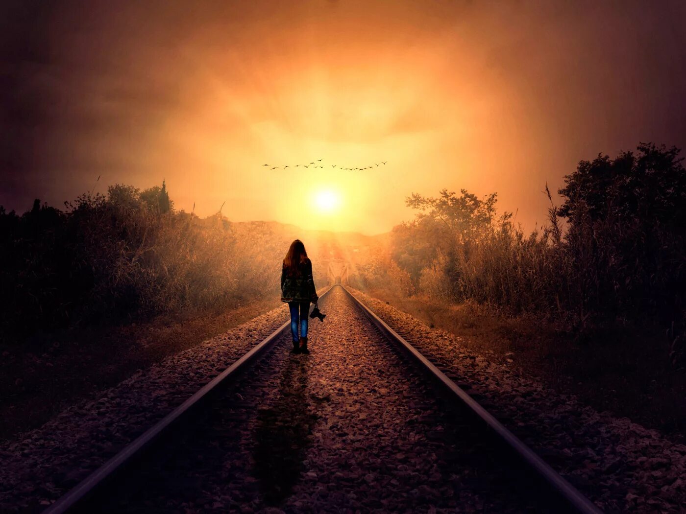 Артур шоди 3 дороги 3. Тропа в поле. Пути темного солнца. 2560x1080 обои. Берсерк затмение арт.