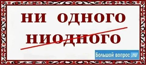 Тем не менее ни одно