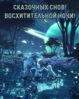 Великолепные ночи