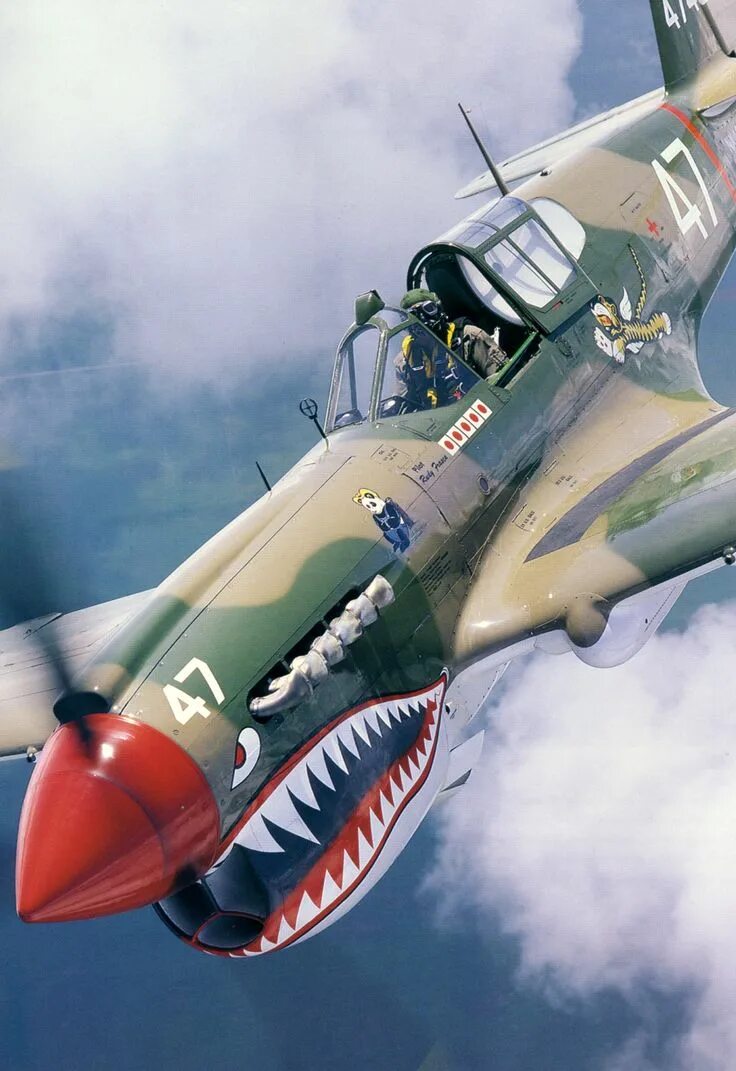 Лучшие советские истребители мировой. P-40 Warhawk. P 40 Warhawk самолет. Curtiss p-40e Warhawk. Curtiss p-40 Warhawk 980mm.