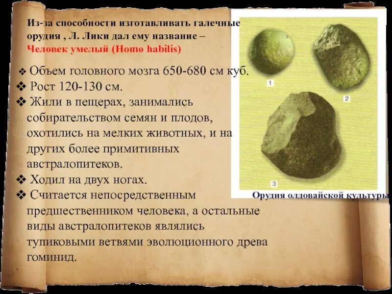 Лики в данных