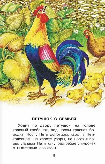 Рассказы петуха