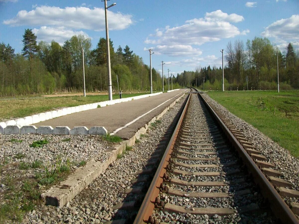 Жд ветка валдай крестцы. Жд станция крестцы новгородская область. Крестцы трасса м10. Железнодорожная линия валдай крестцы. Крестцы новгородская область.