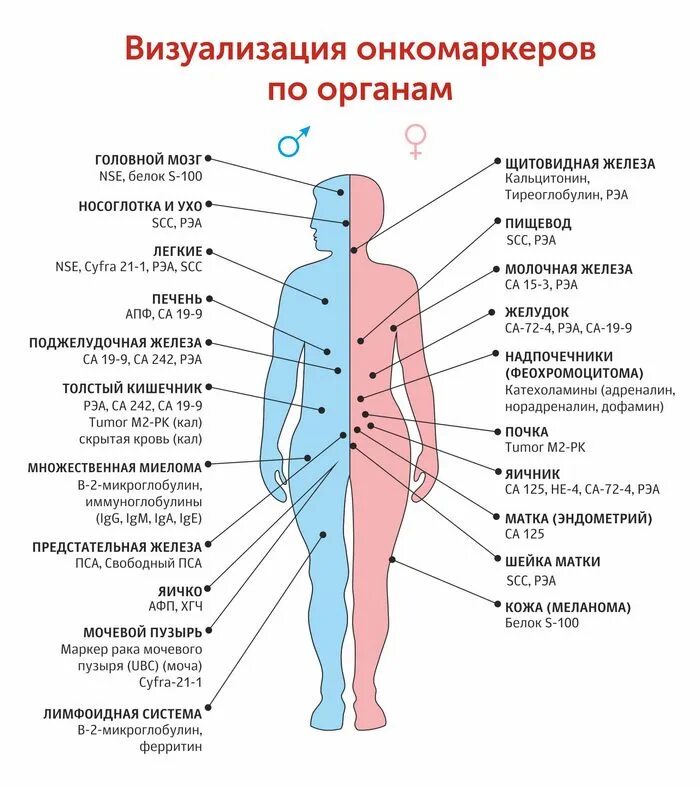 Онкомаркер 40