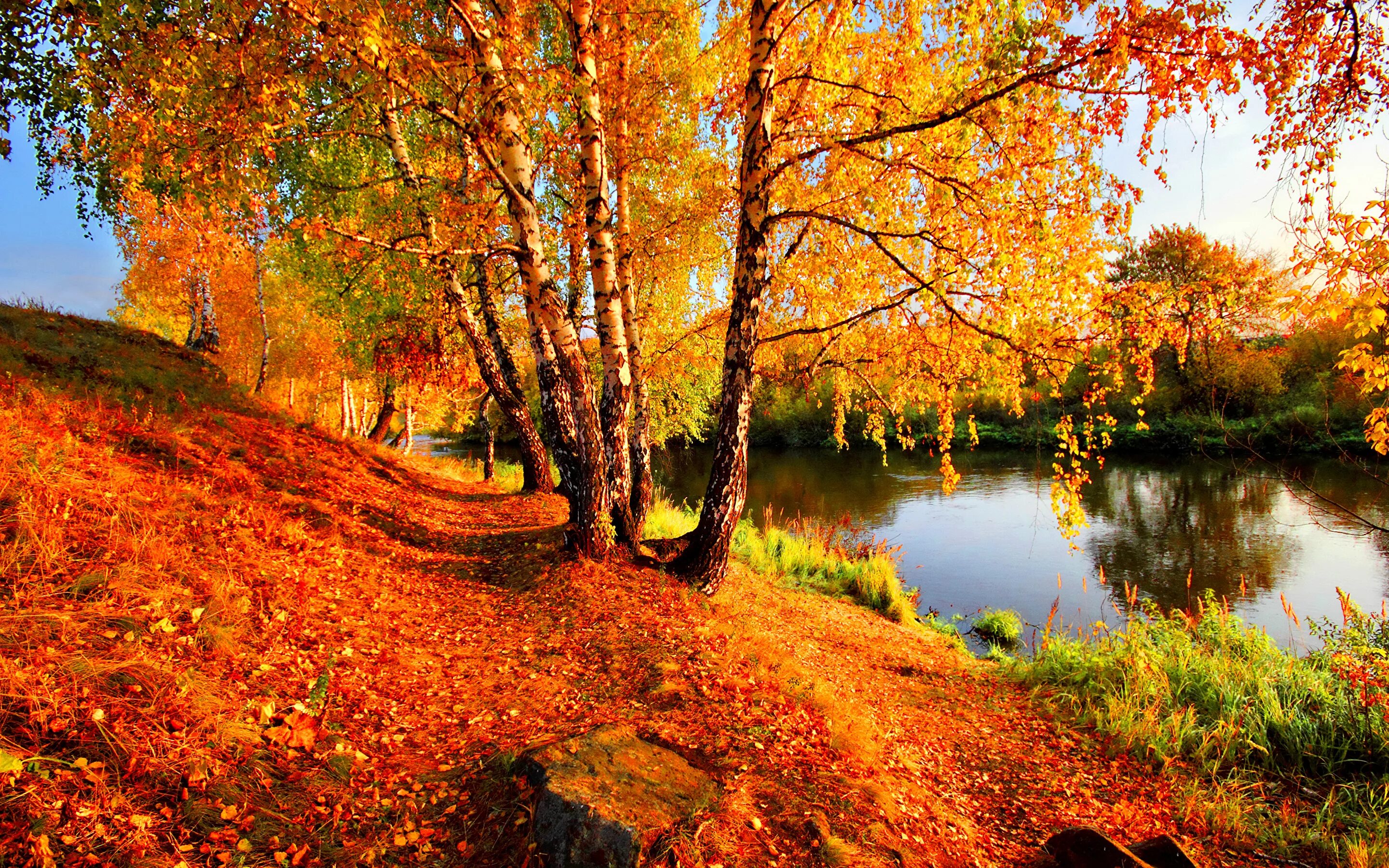 Осенние пейзажи осени. Осень. Природа осень. Красивая осень. Золотая осень.