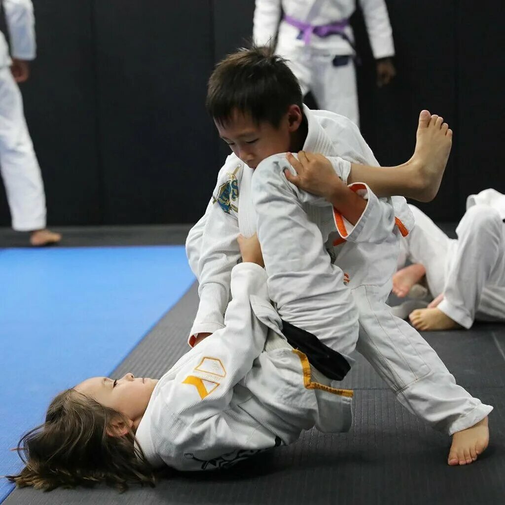 джитсу тетрадь