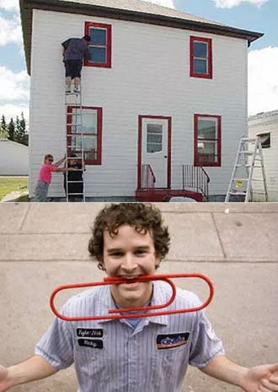 кайл макдональд обменял скрепку на дом. карл макдональд скрепка. скрепка на дом. меня скрепку на дом. канадец скрепка на дом.