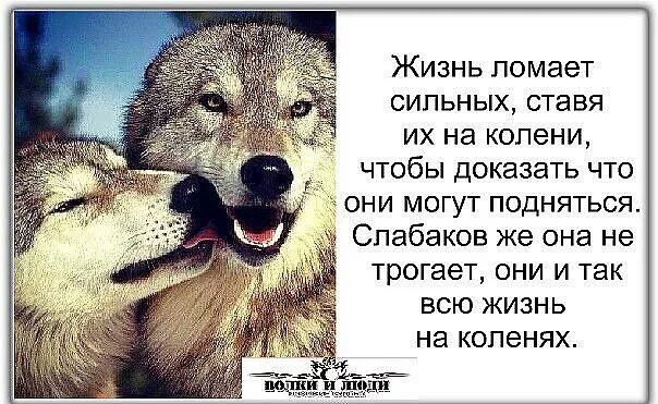 Жизнь сломана что дальше. Жизнь ломает. Жизнь ломает сильных. Жизнь поставила на колени. Жизнь ломает сильнейших.