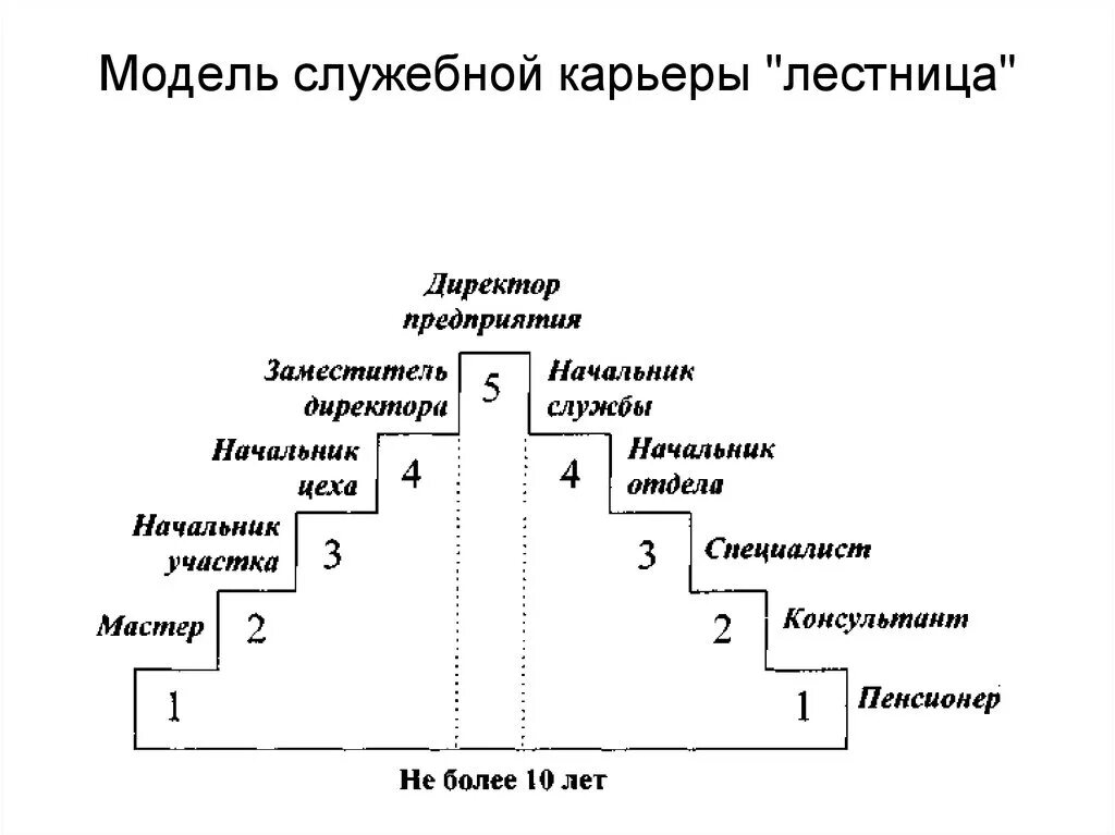 Модель руководителя предприятия. Модель карьеры лестница. ступени карьерного роста. служебная карьера лестница. мотивы профессиональной карьеры.