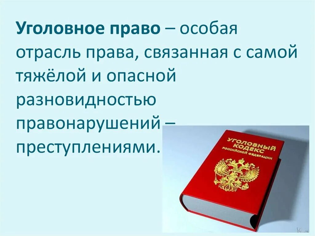 Предметы имеющие особую ценность ук рф. Уголовное право. Уголовное право это отрасль.