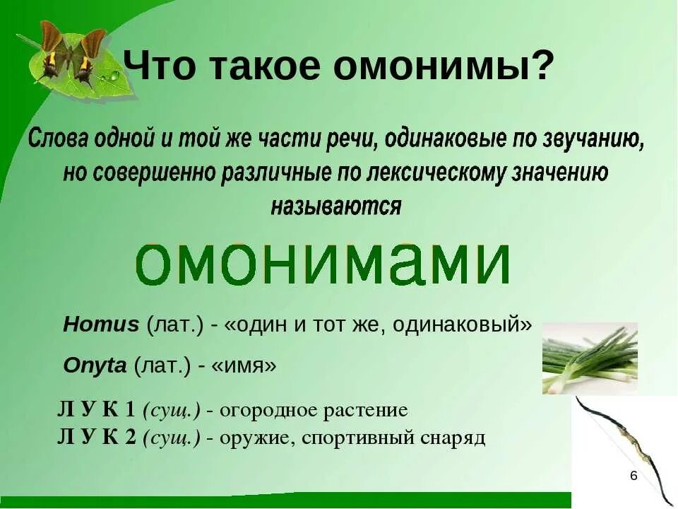 Омонимы. Онимы. Слова омонимы. Омонимы примеры. Что такое омонимы примеры