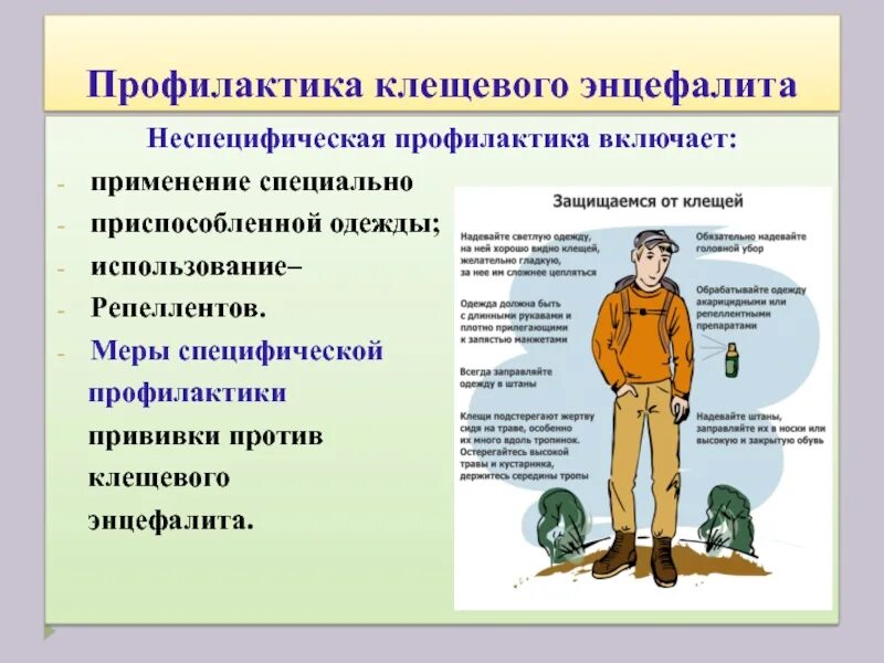 Профилактические меры против. Профилактика клещевого энцефалита. Профилктикаклещевого энцефалита. Меры профилактики энцефалита. Клещевой энцефалит профилактические мероприятия.