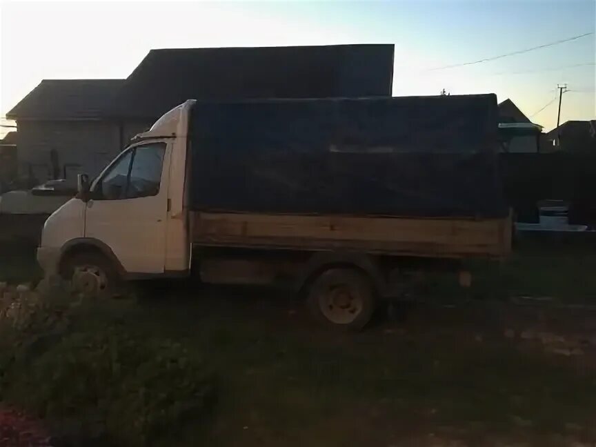Газель малоярославец. Газель малоярославец