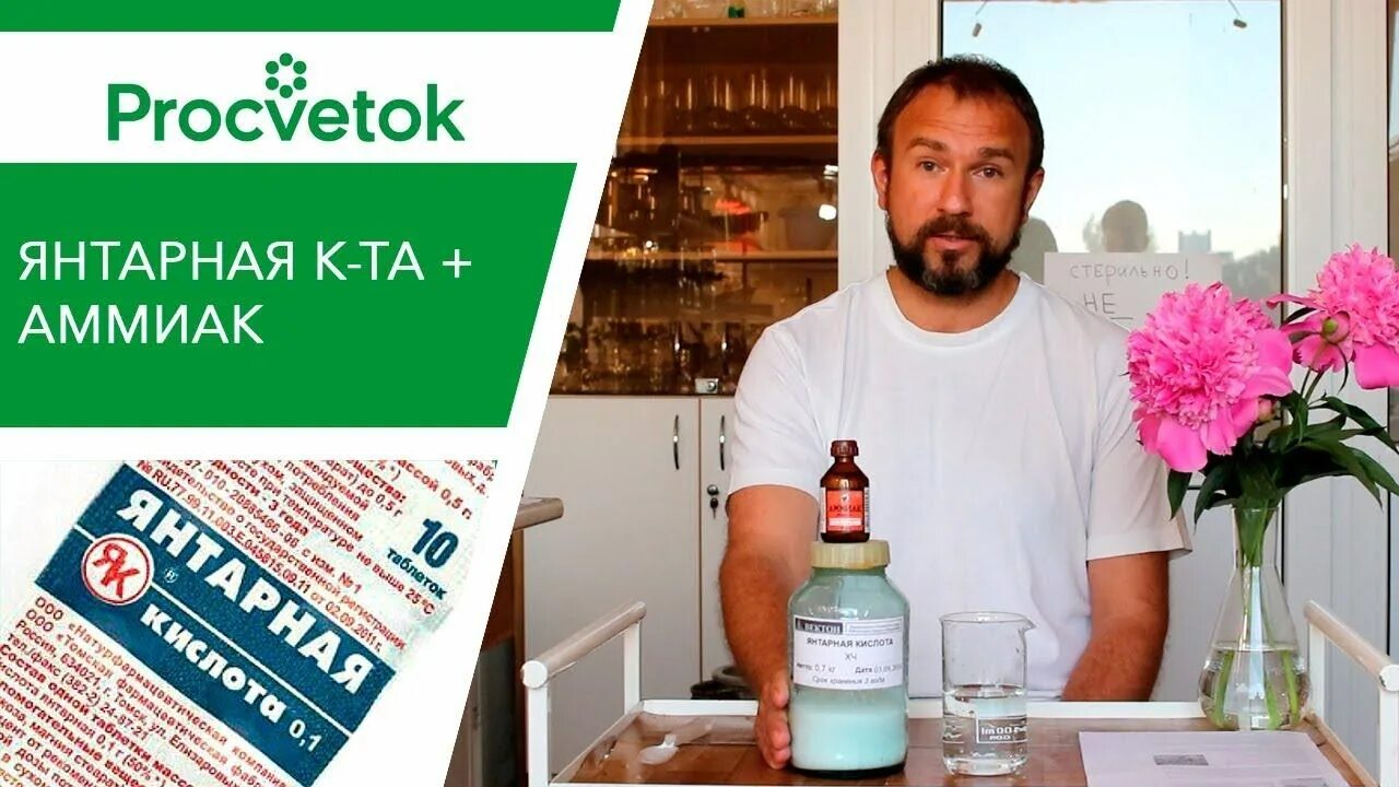 Процветок подкормка. Просветок. Фитоп. Процветок подкормка. Процветок подкормка.