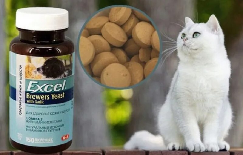 8 в 1 для кошек. Витамины для котов. Витамины для животных кошек. Витамины для кошек для шерсти и кожи. Поливитамины для кошек от выпадения шерсти.
