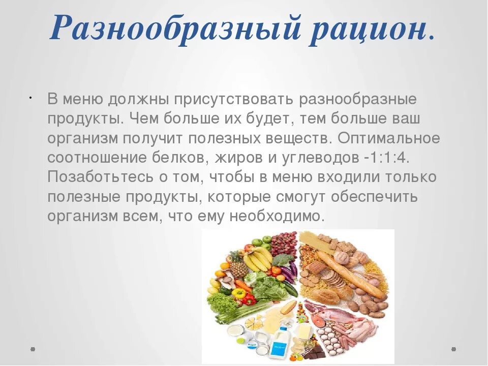 Почему мясо должно присутствовать в рационе. Разнообразный рацион. Рацион хомяков. В рационе человека должны присутствовать.. Что входит в рацион хомячков.