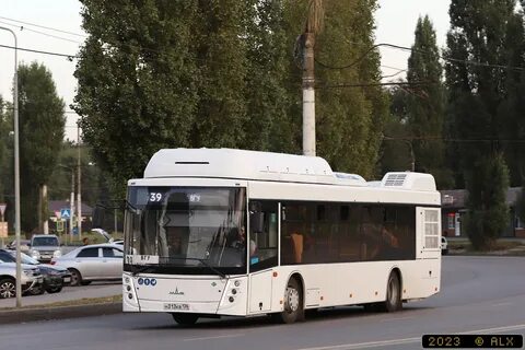 Александровка автобус