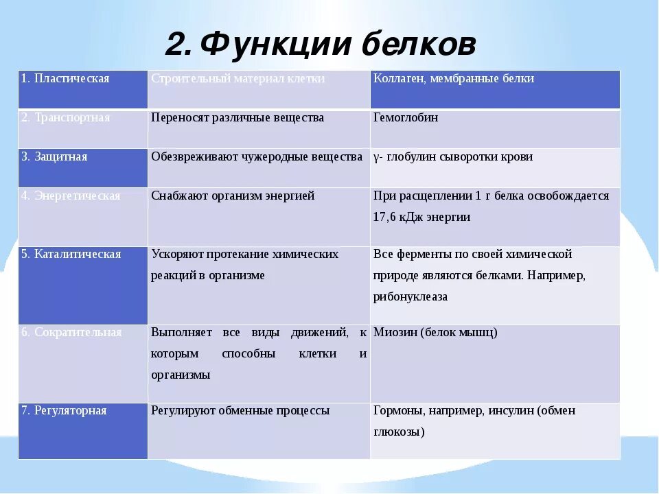 Структура и функции белков. Строение и биологические функции белков клетки. Белки виды биология. Белки функции.