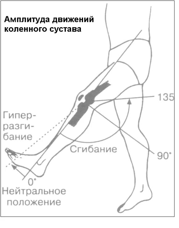 Положение колено колено