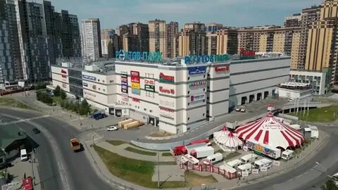 Хвостовиль реутов