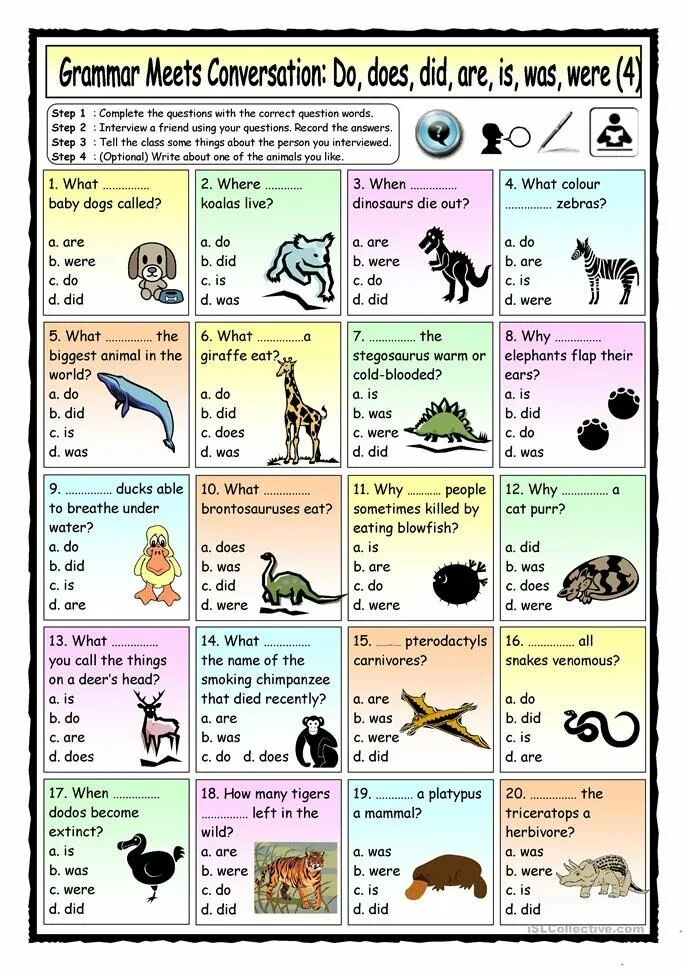 Their are или is. Do does am is are упражнения. did was were упражнения. grammar meets conversation do does did are is was were. grammar meets conversation.
