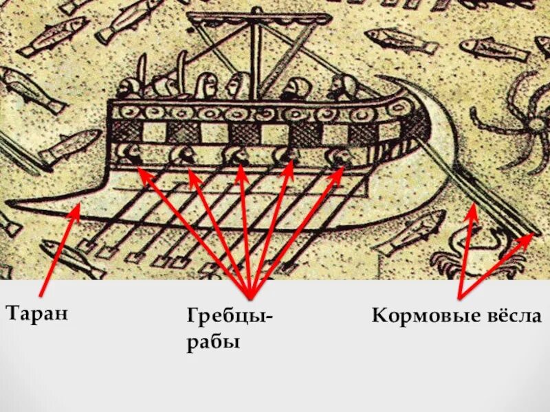 Финикийские гребцы-рабы. Схема расположения гребцов на Триере. Гребцы на корабле. Составить кроссворд по истории финикийские мореплаватели. Финикийский сканворд