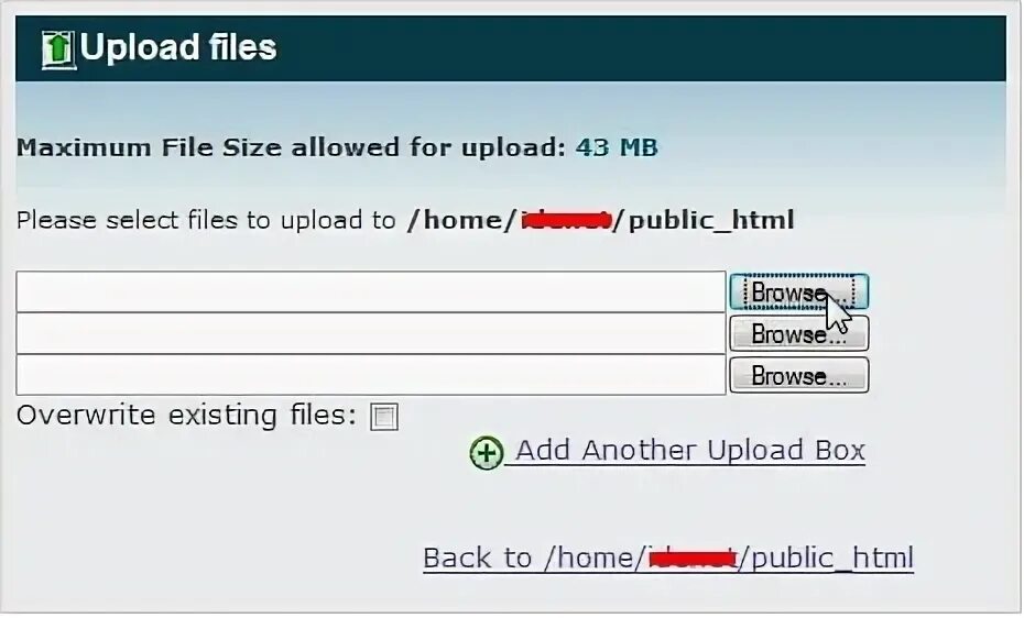 File upload user. File upload user