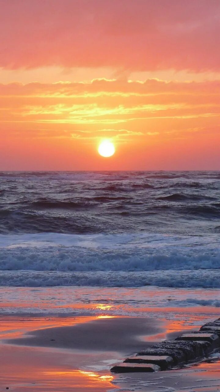 Découvrez la Corse et ses secrets Photos coucher de soleil plage, Coucher de sol